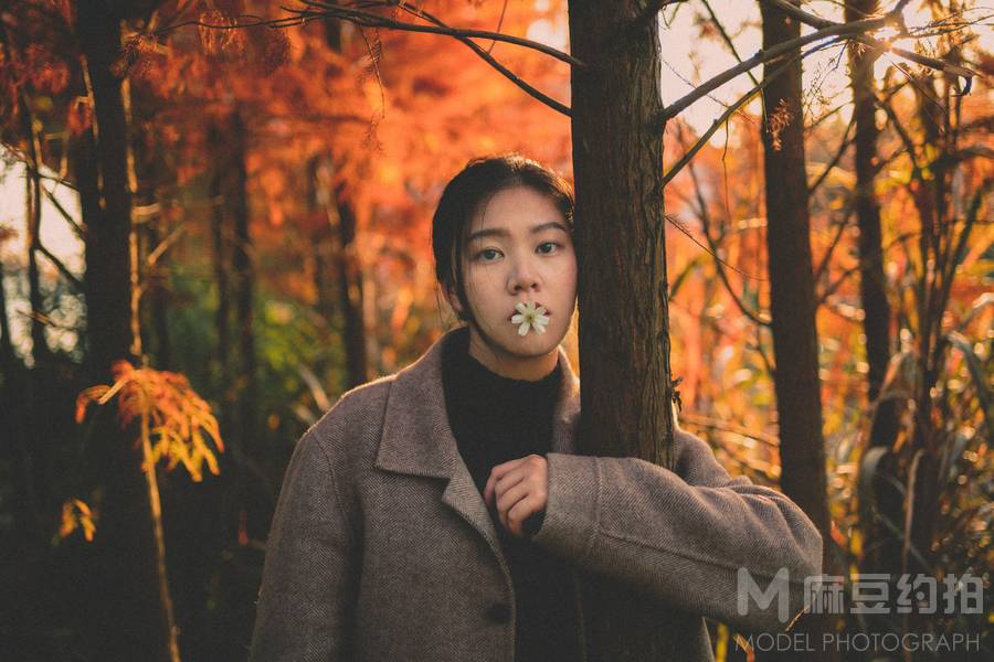 胶片模特