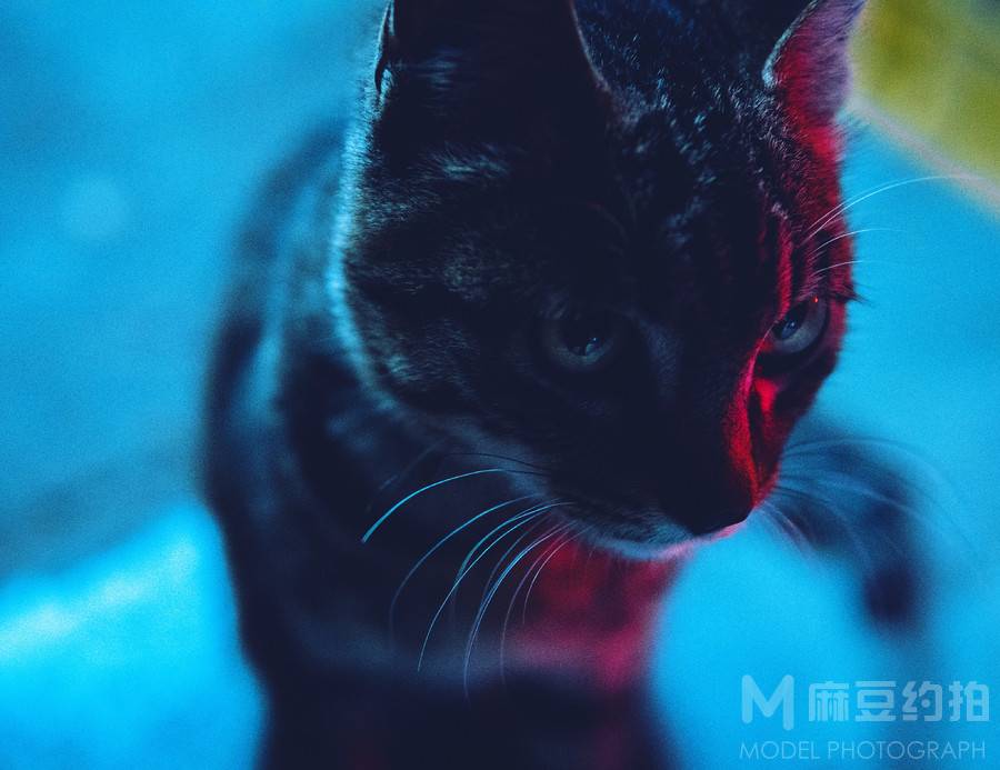 暗黑模特