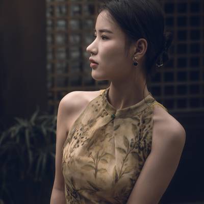 民国模特