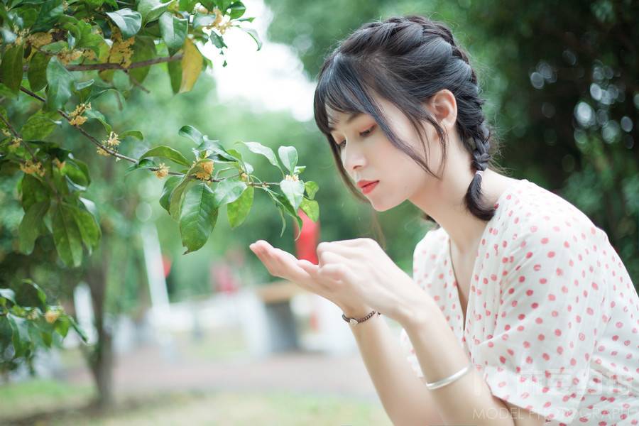 清新模特