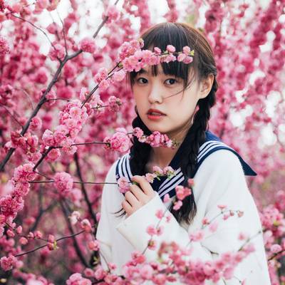 清新模特