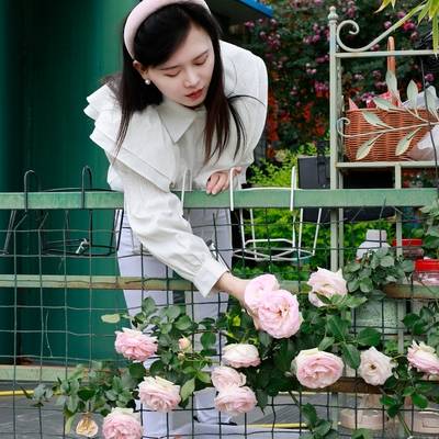 纪实模特