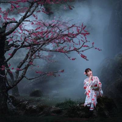 和服模特