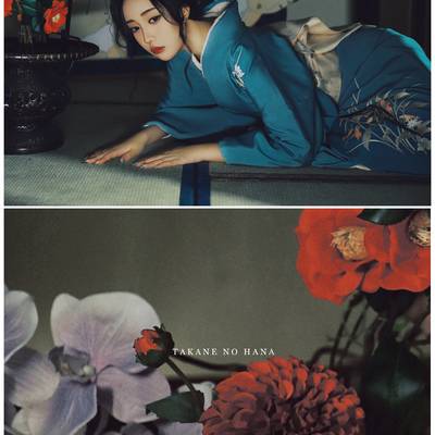 和服模特