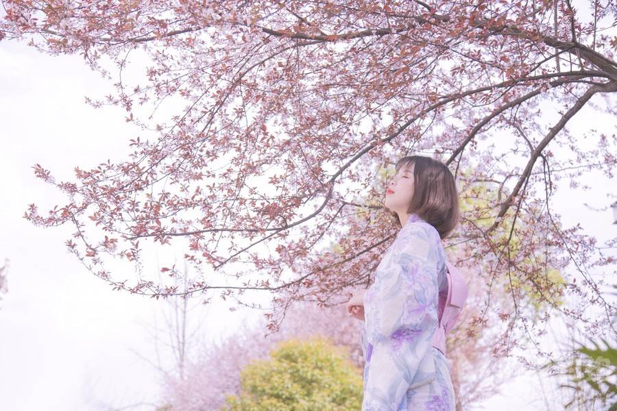 和服模特