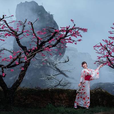 和服模特