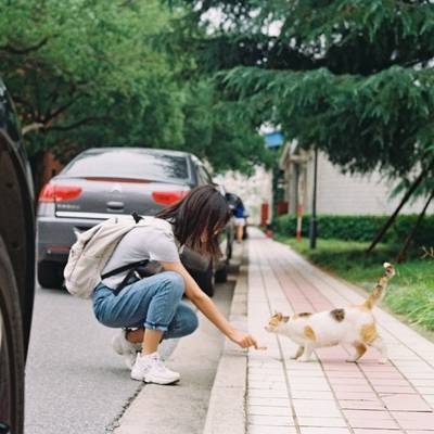 校园模特