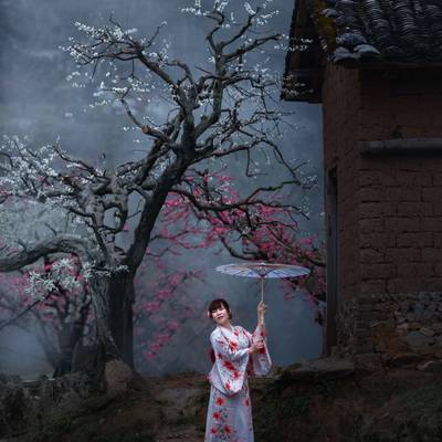 和服模特