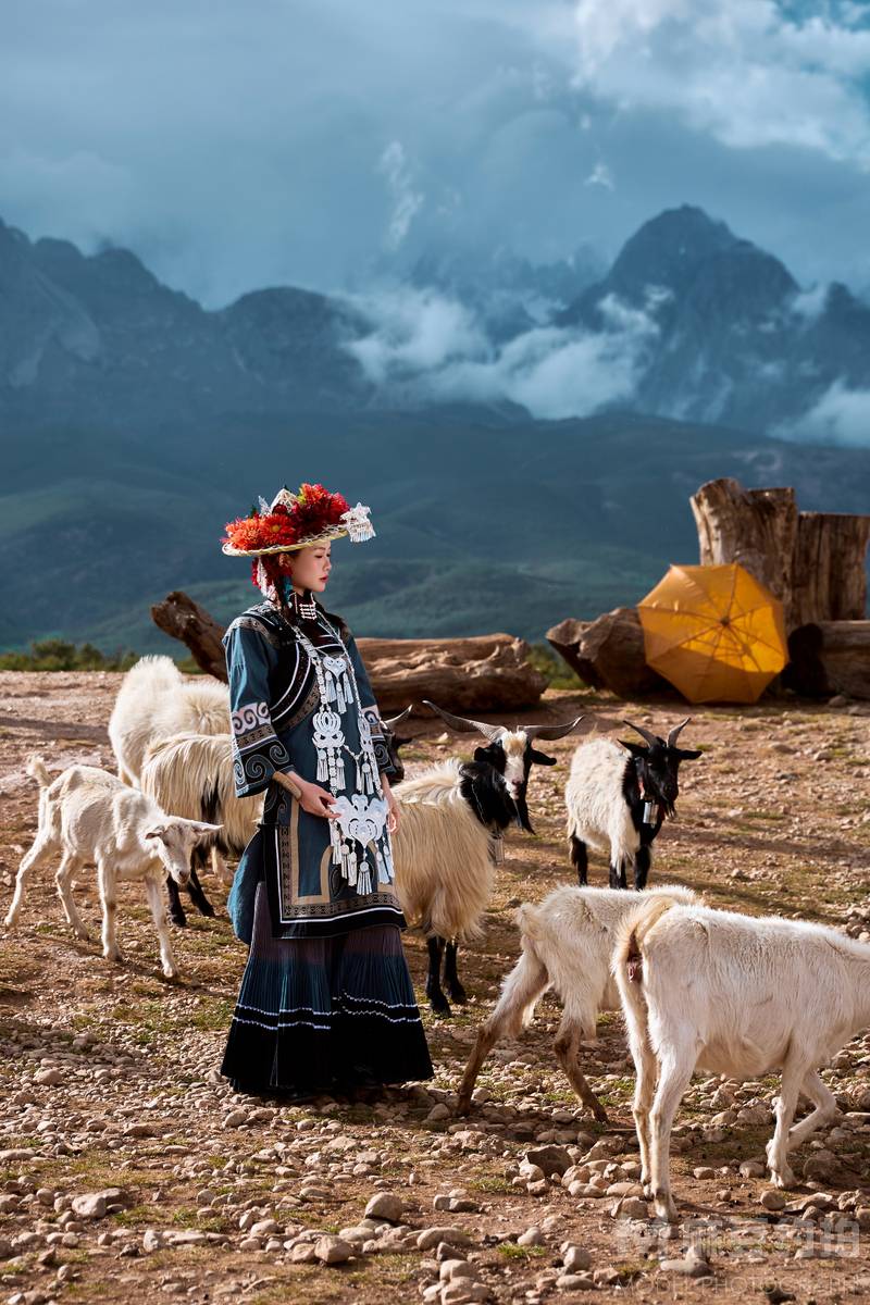 清新模特
