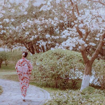 和服模特