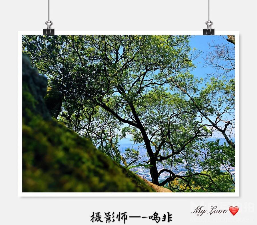 纪实模特
