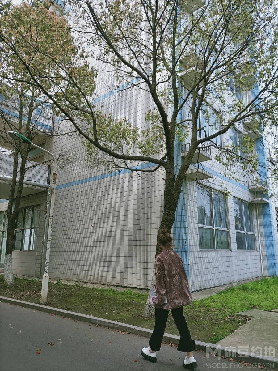校园模特