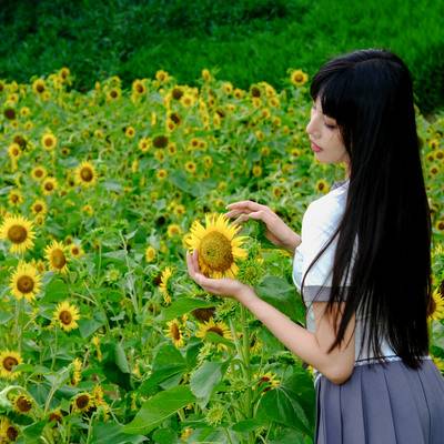 韩系模特