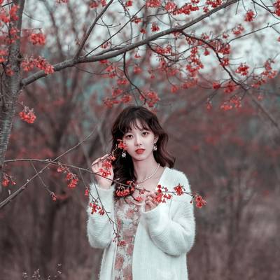 校园模特