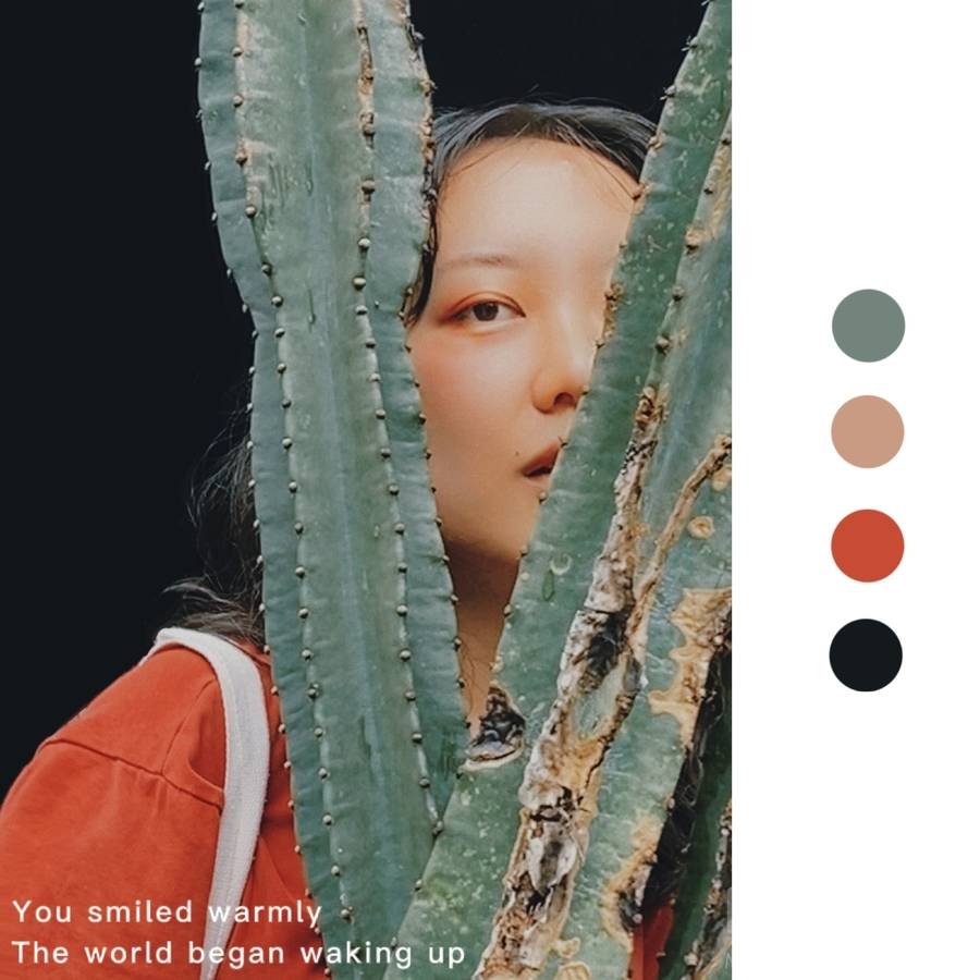 情绪模特