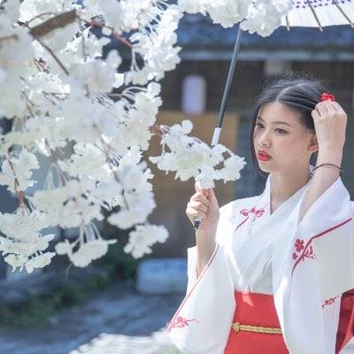 和服模特