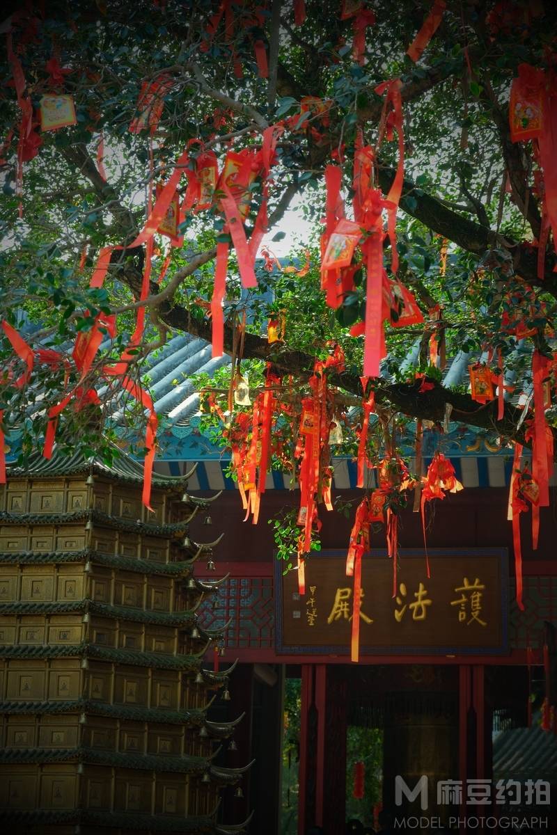 民国模特
