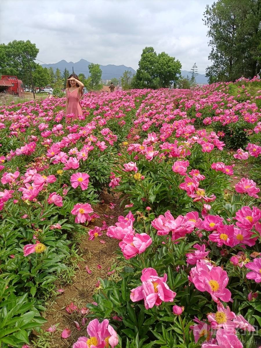 淘宝模特