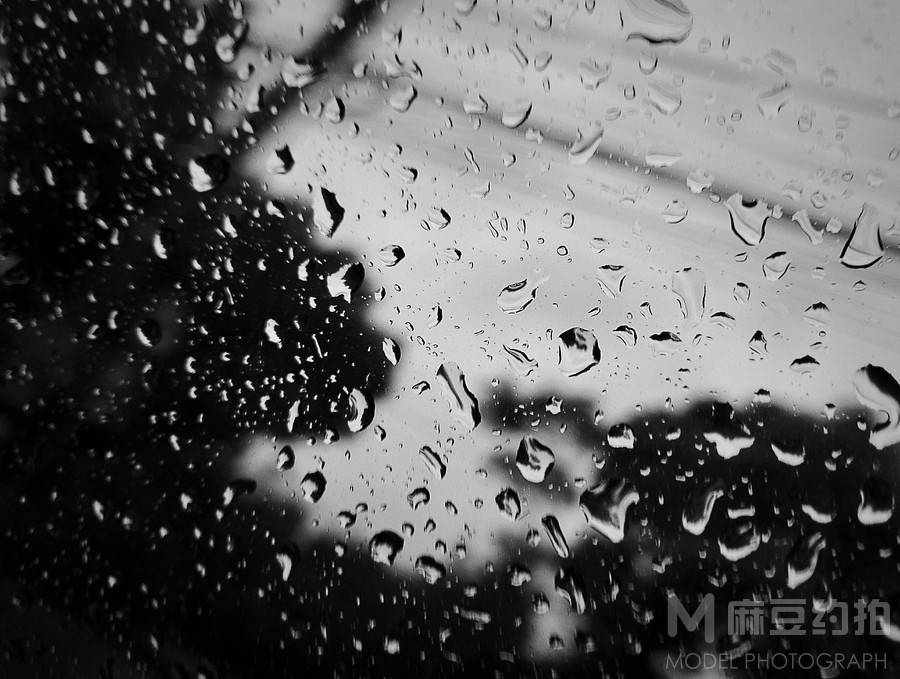 黑白模特