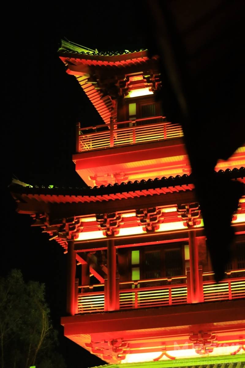 夜景模特
