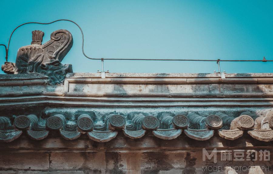 宝丽来模特