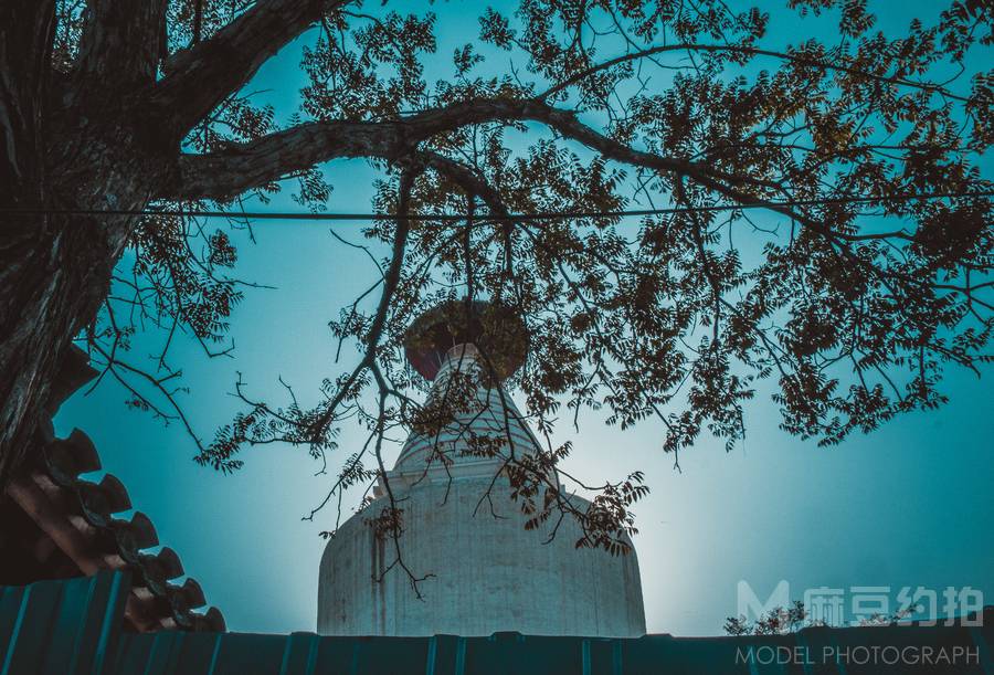 宝丽来模特