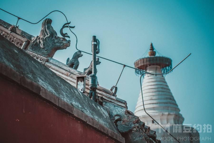 宝丽来模特