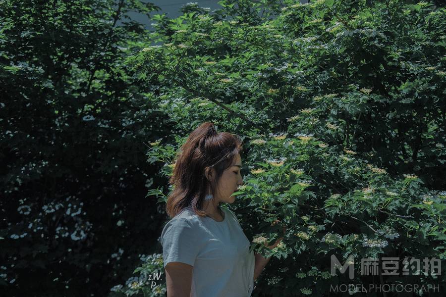 宝丽来模特