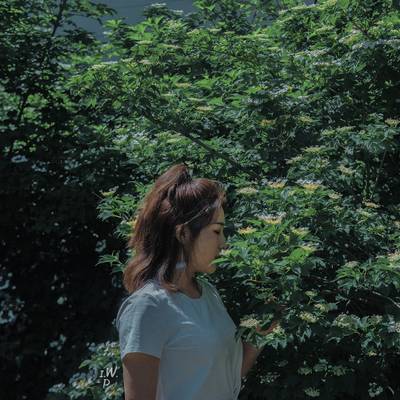宝丽来模特