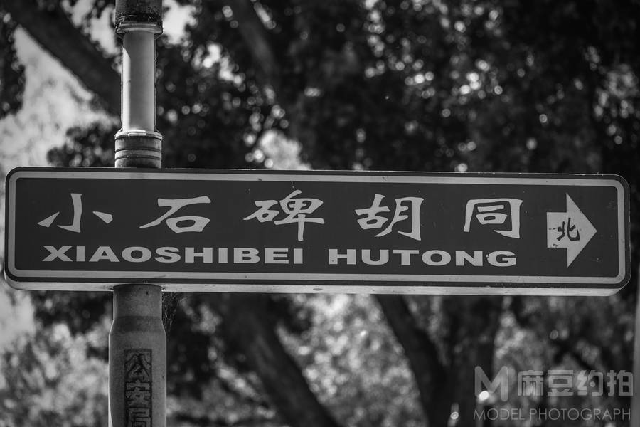 黑白模特