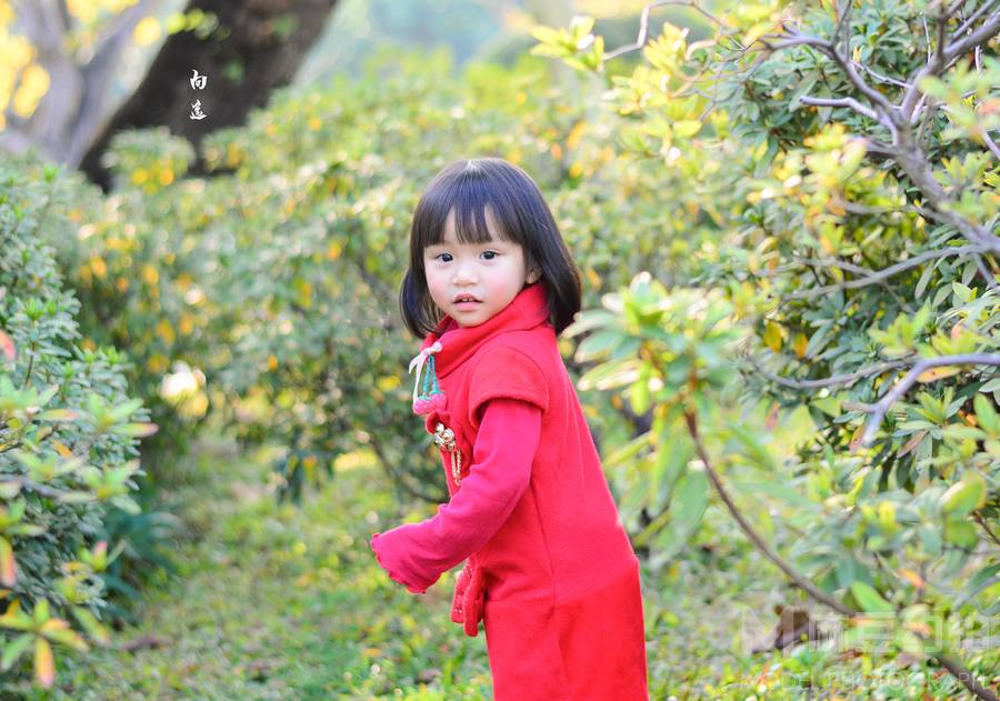 儿童摄影模特